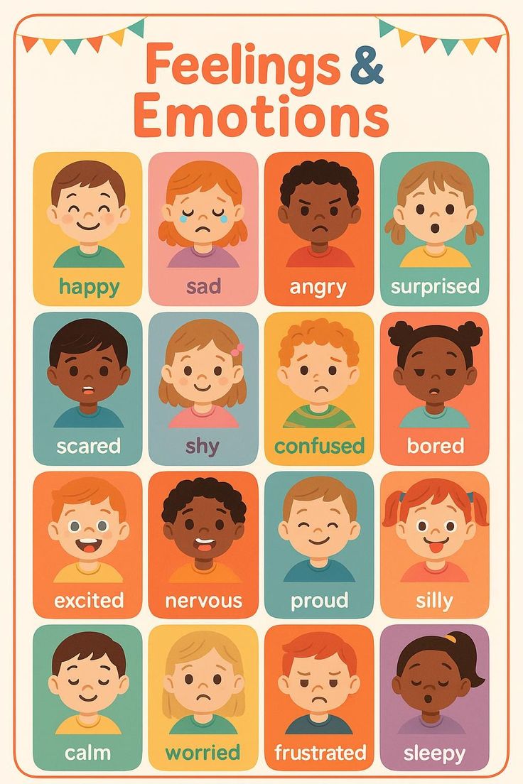 Emotional Regulation chart featuring diverse illustrated faces showing different feelings and emotions